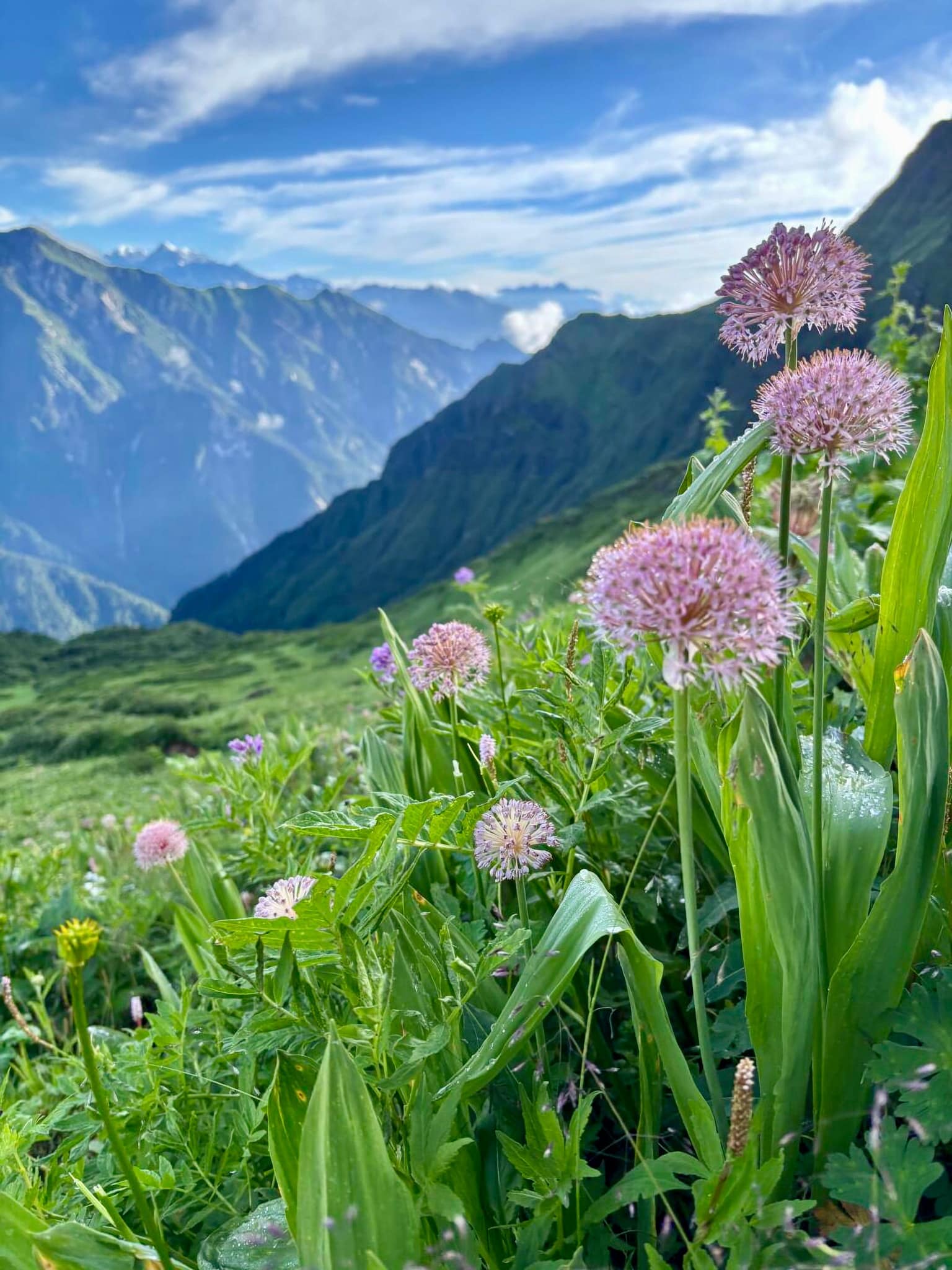 Uttarakhand
