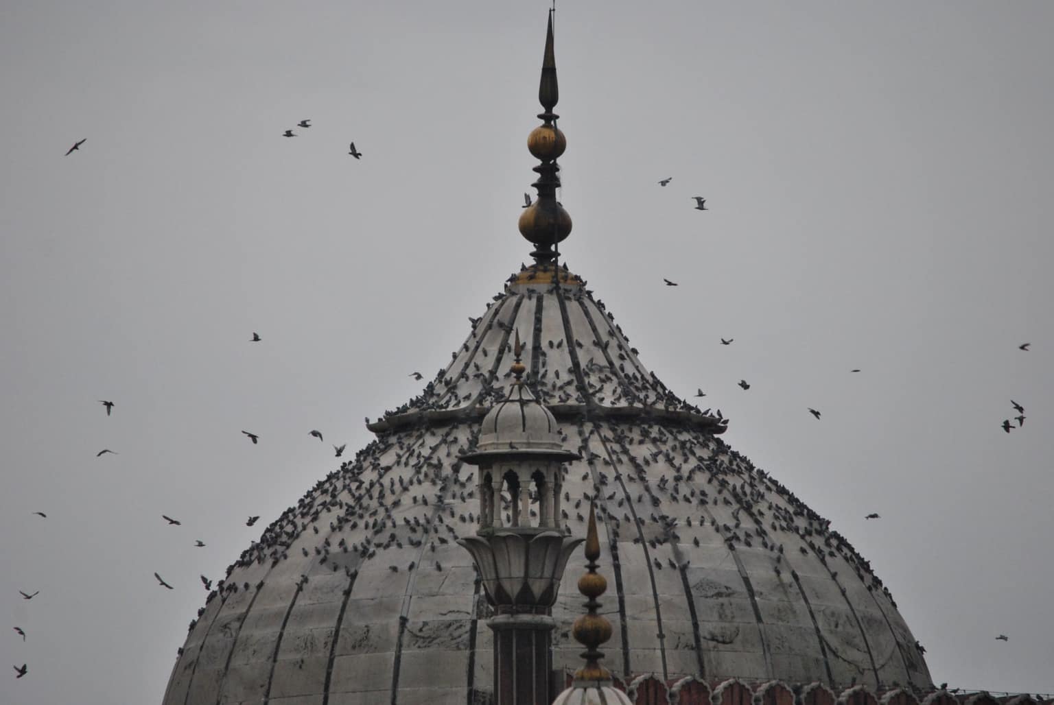 Delhi