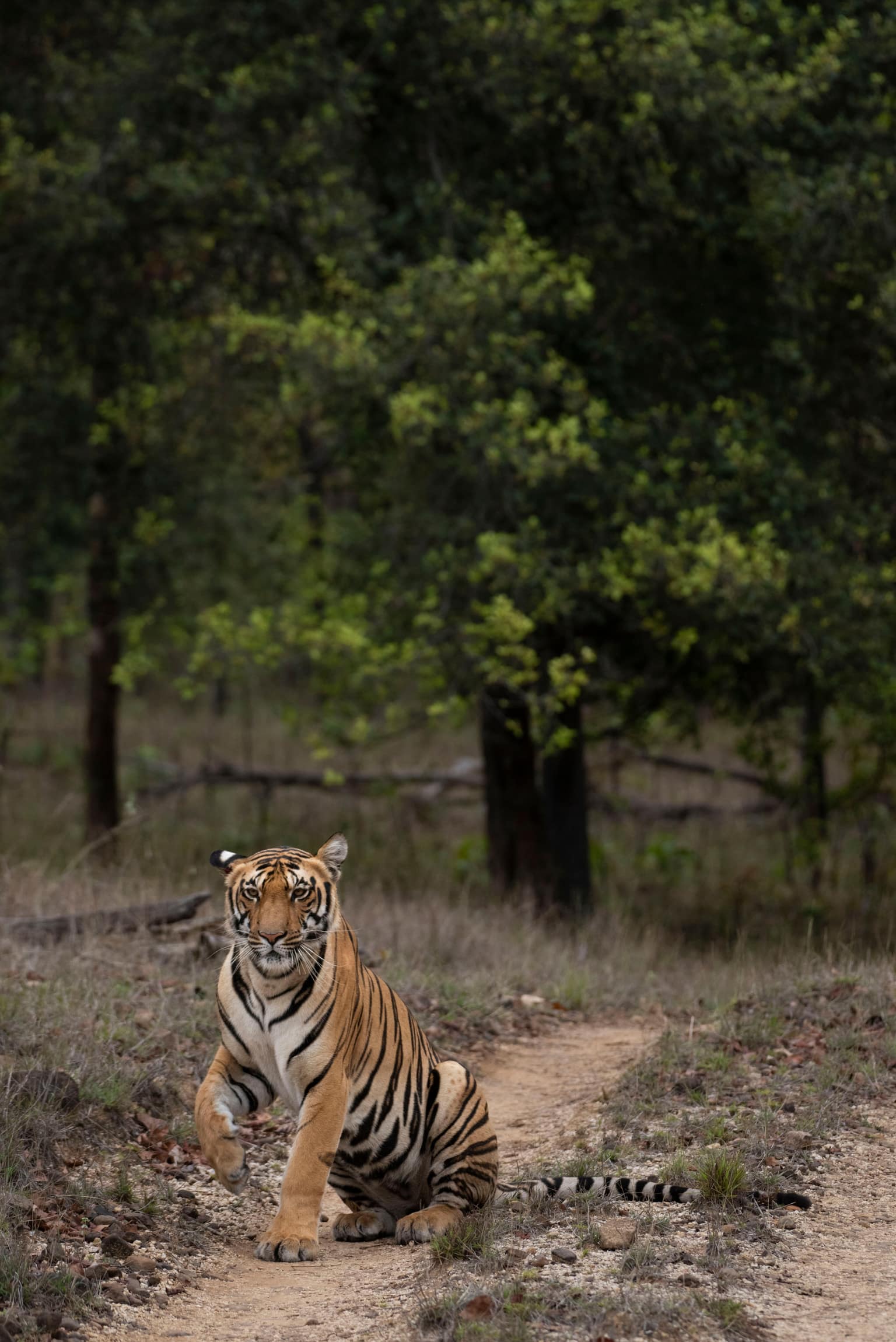 Madhya Pradesh