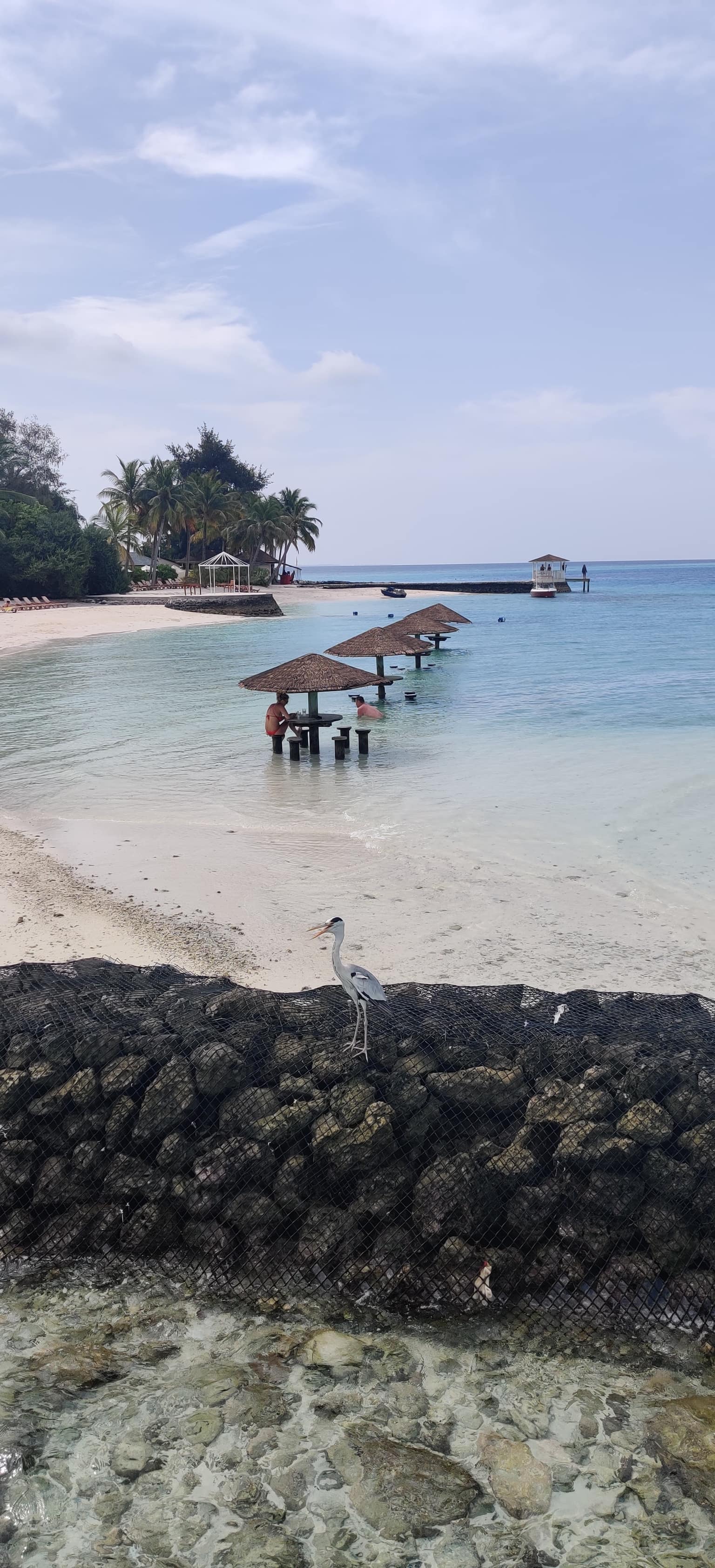 Maldives Luxury 3 N - 4 D