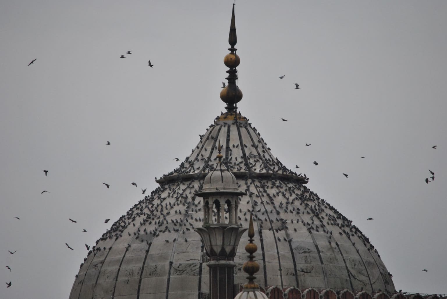 Delhi